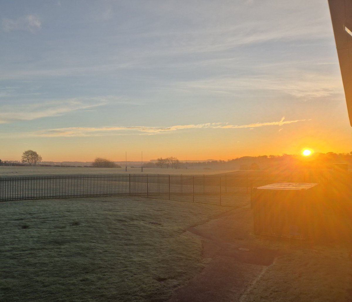 Rebecca Carrington tweet media