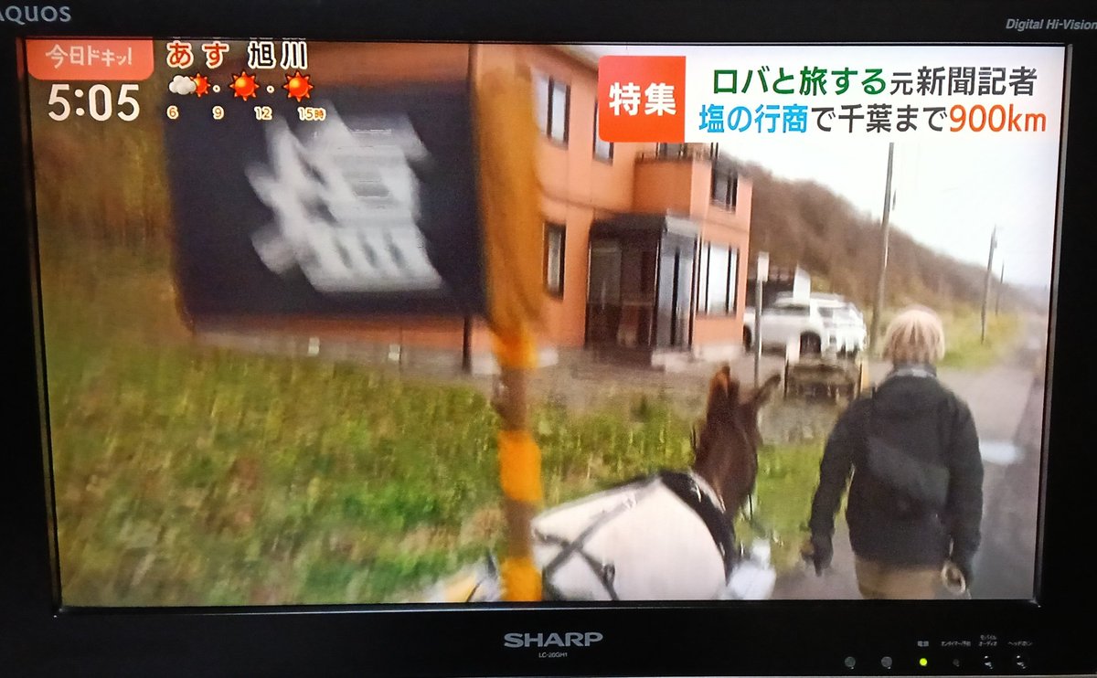 ライスはじめました。 Post by ライス on X: 始まった〜