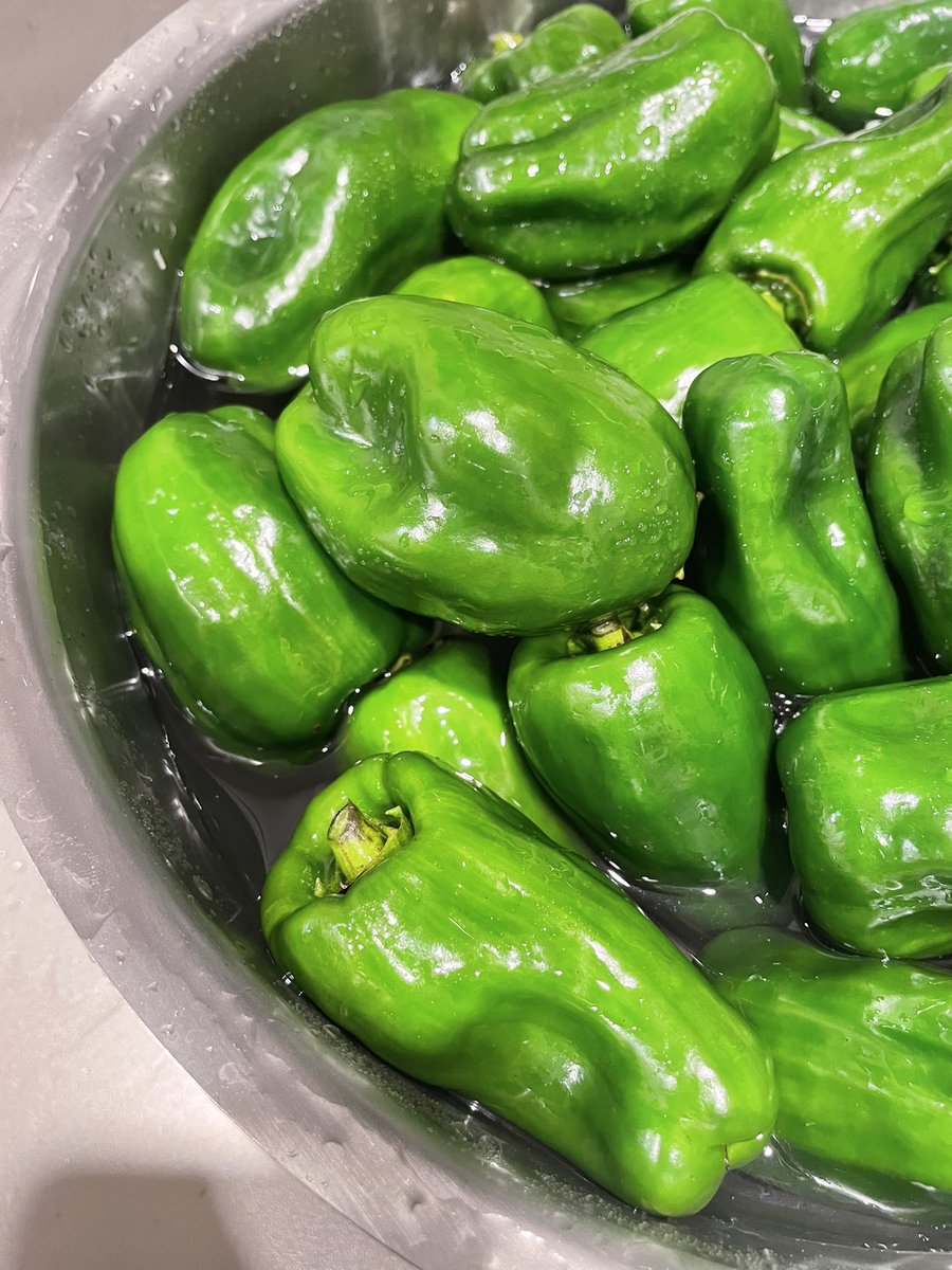 四万十の道の駅で ピーマン33個100円 押しても全く凹まない肉厚さとハリ