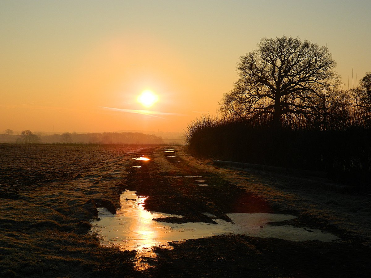 A frosty sunrise at Nobottle. Northamptonshire, from the archives.