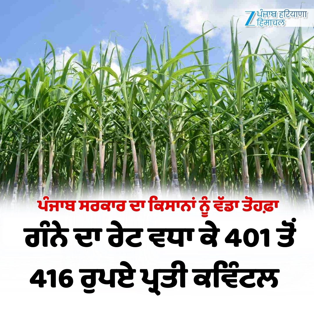 ZeePunjabHH's tweet image. ਪੰਜਾਬ ਸਰਕਾਰ ਦਾ ਕਿਸਾਨਾਂ ਨੂੰ ਵੱਡਾ ਤੋਹਫ਼ਾ 
ਗੰਨੇ ਦਾ ਰੇਟ ਵਧਾ ਕੇ 401 ਤੋਂ 416 ਰੁਪਏ ਪ੍ਰਤੀ ਕਵਿੰਟਲ 

#PunjabGovt #sugarcane #Farmers #ZeePHH #BreakingNews