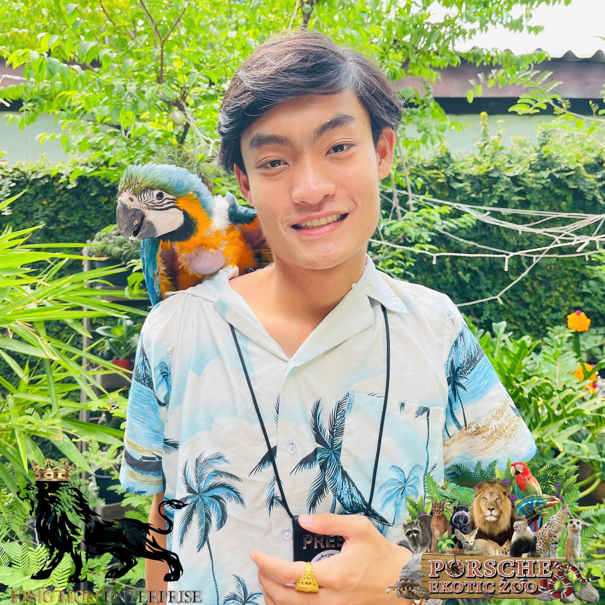 Porsche_shop99's tweet image. 🕊️เจ้ามาคอว์ตัวน้อย พร้อมไปบินเล่นแล้วครับ⛅️

🌈Little Macaw is ready to fly and play✨

#porscheexoticzoo 
#porscheexoticzooadmin 
#นกแก้ว #นกแก้วมาคอร์