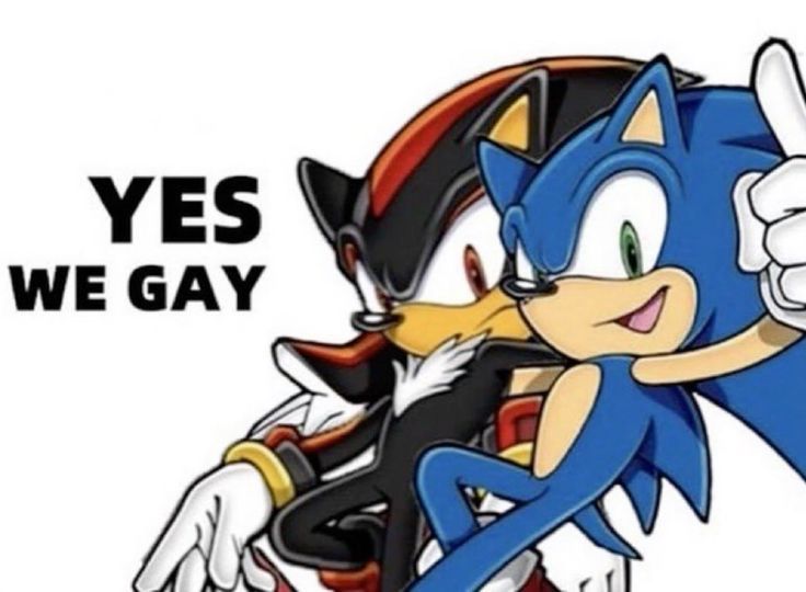 Bee tweet media
