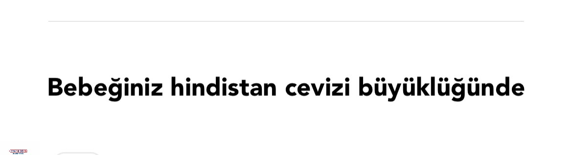 mayonesli's tweet photo. Benim minik coconutım 🥥 https://t.co/y7h3muEzaC