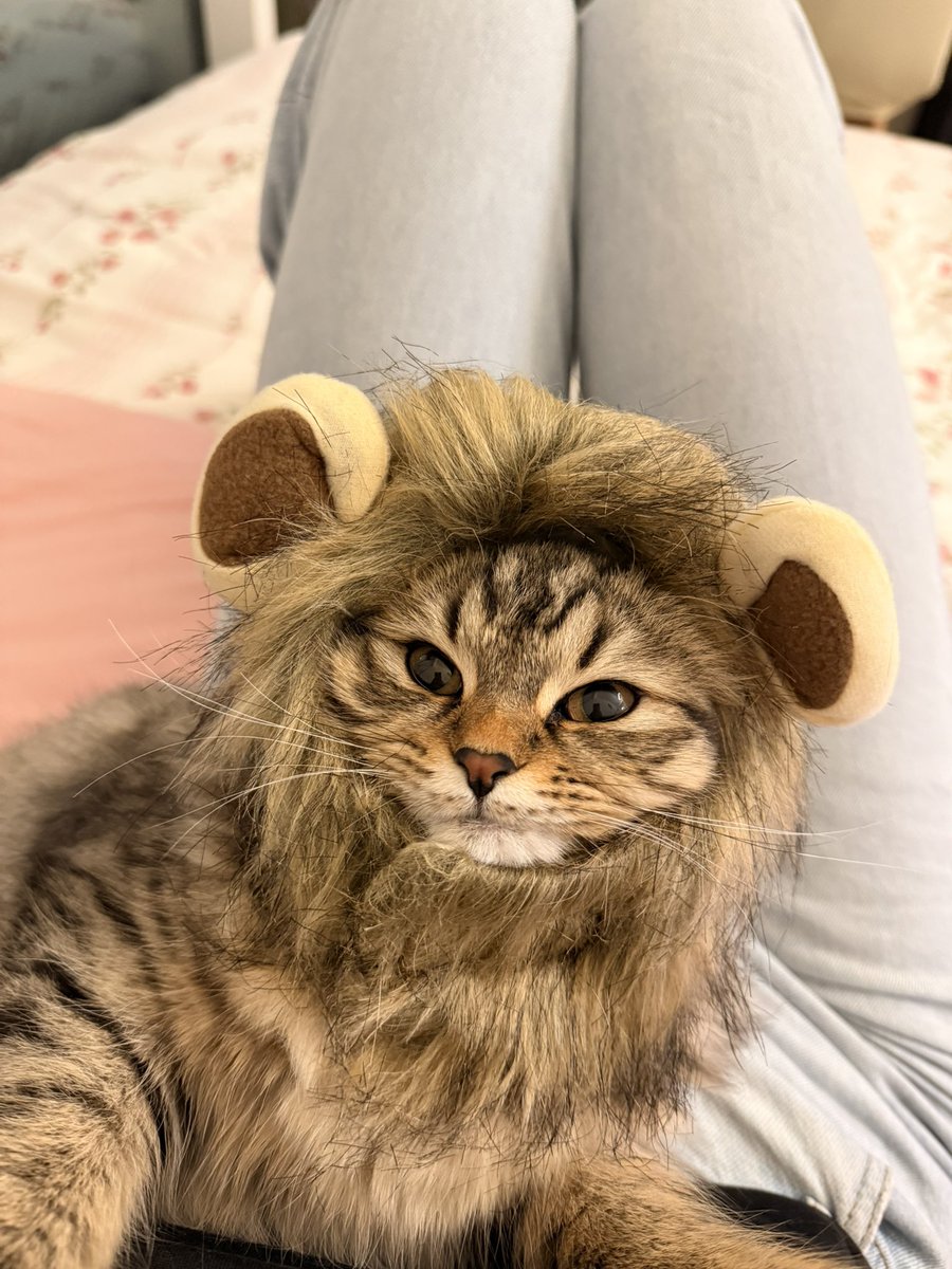 cringewounded's tweet image. roar