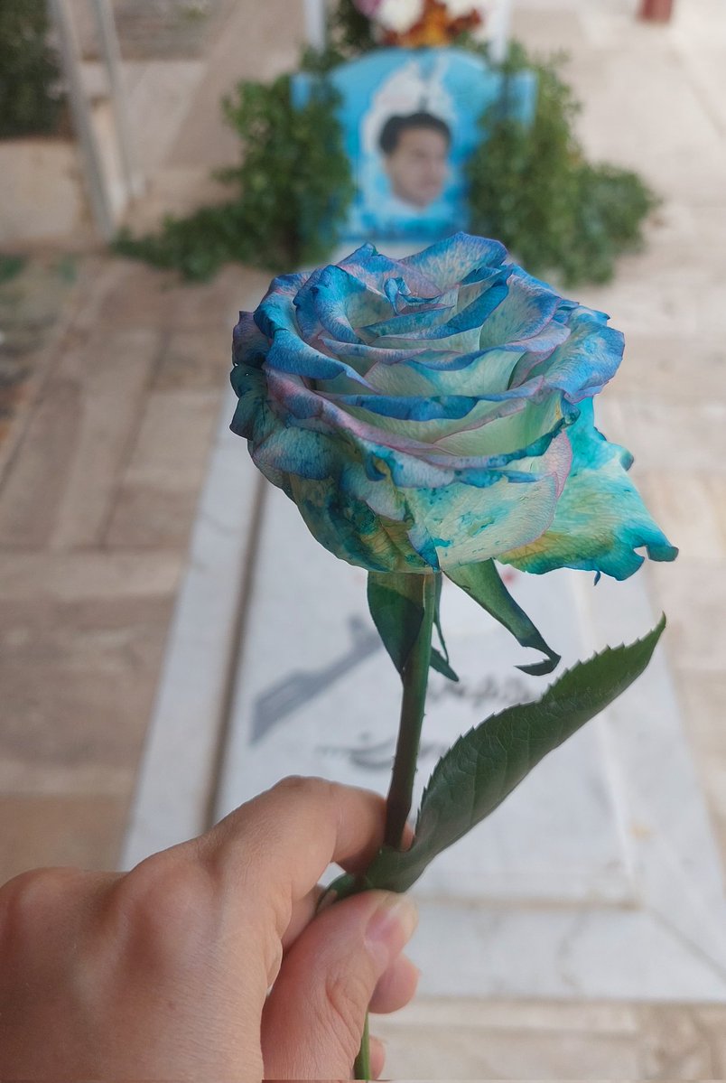 با افتخار یک بسیجی ام🦋
#بسیج_مردم
#آفتاب_امید