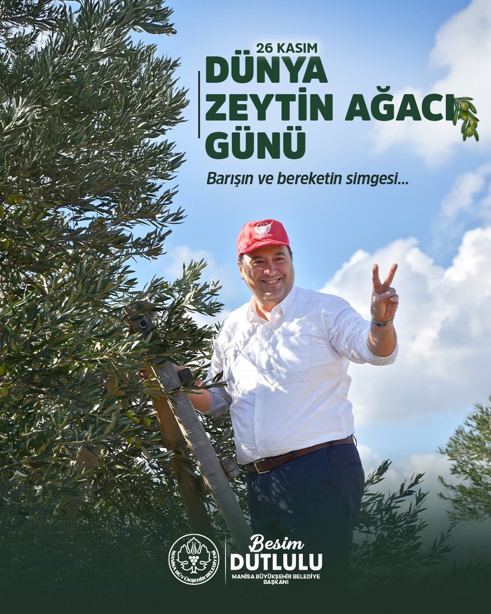 besimecz's tweet image. Barışın, uzun ömrün ve bereketin kadim sembolü zeytin ağacına sahip çıkmak, geleceğimize sahip çıkmaktır. 

Manisa&apos;mızın zeytinlikleri daima yeşil kalsın, sofralarımızın bereketi hiç eksik olmasın. 

#DünyaZeytinAğacıGünü kutlu olsun.