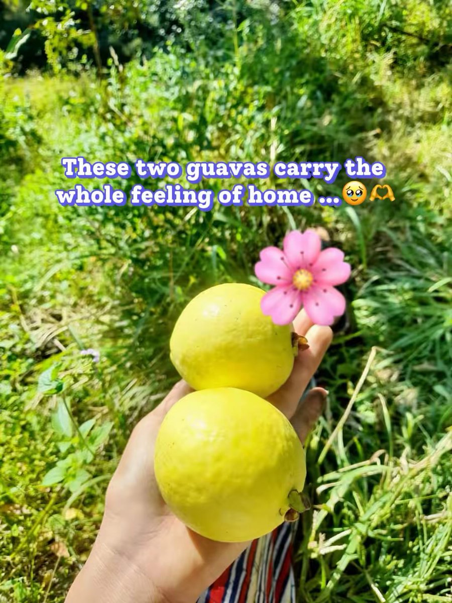 My sister knows exactly how to make me feel close to home...🏡🤗