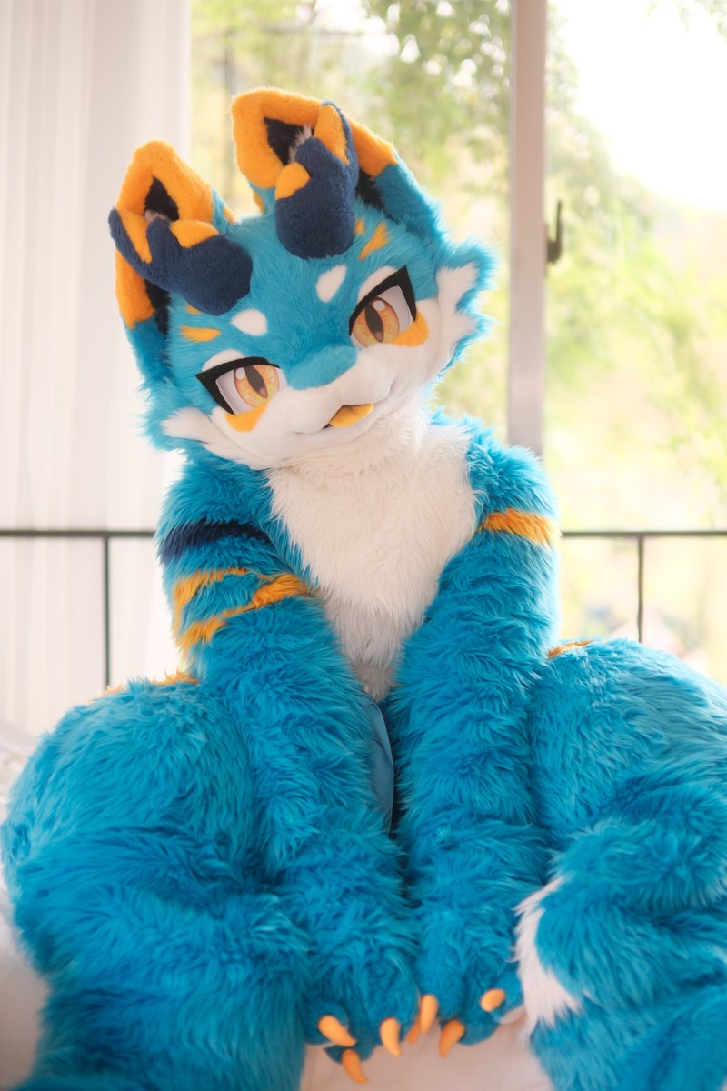 #FursuitEveryday 
우리 같이 재밌는거 하자!!😊