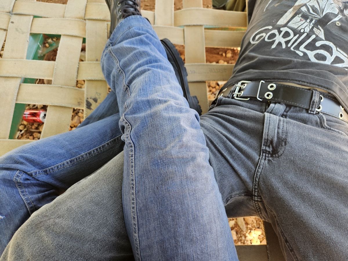 Big boss dog. ≛ NOT @THEdavidfinlay tweet media