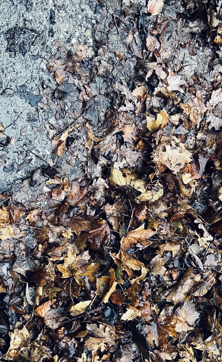 November Vibes. Wie funktioniert das genau mit dem dänischen Hygge?