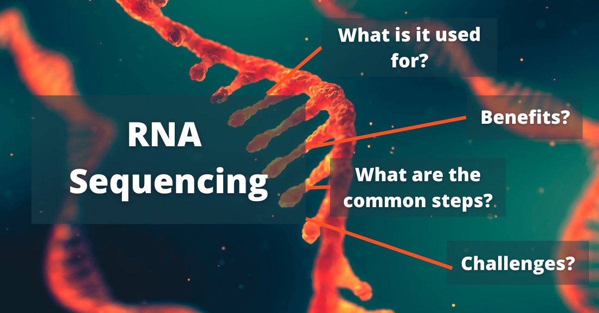 fiosgenomics's tweet image. Wish you knew more about RNA Sequencing? This blog will tell you everything you need to know! fiosgenomics.com/benefits-rna-s…
#rnaseq #bioinformatics #transcriptomics #datanalysis