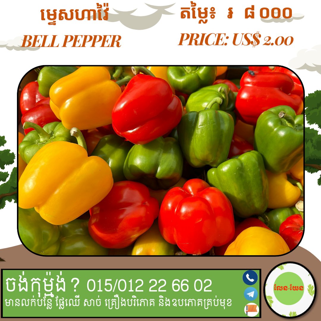 lenyenveggie's tweet image. How about these bell peppers for your dinner?