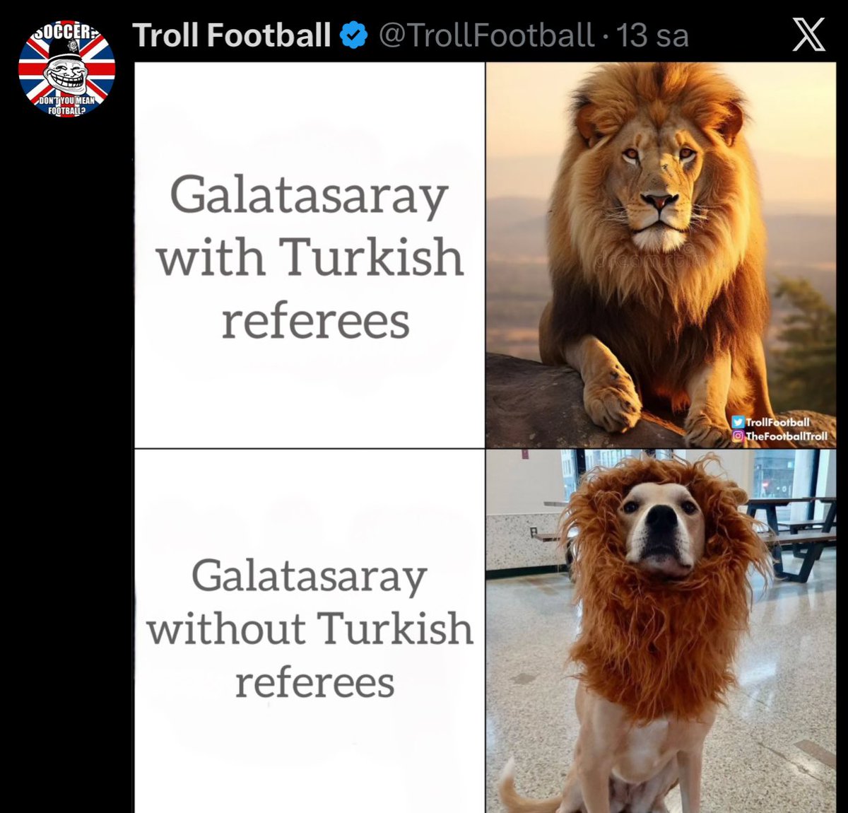SaracogluSports's tweet image. 5 Milyon takipçisi olan hesabın paylaşımı:

Türk hakemleriyle Galatasaray / Türk hakemsiz Galatasaray