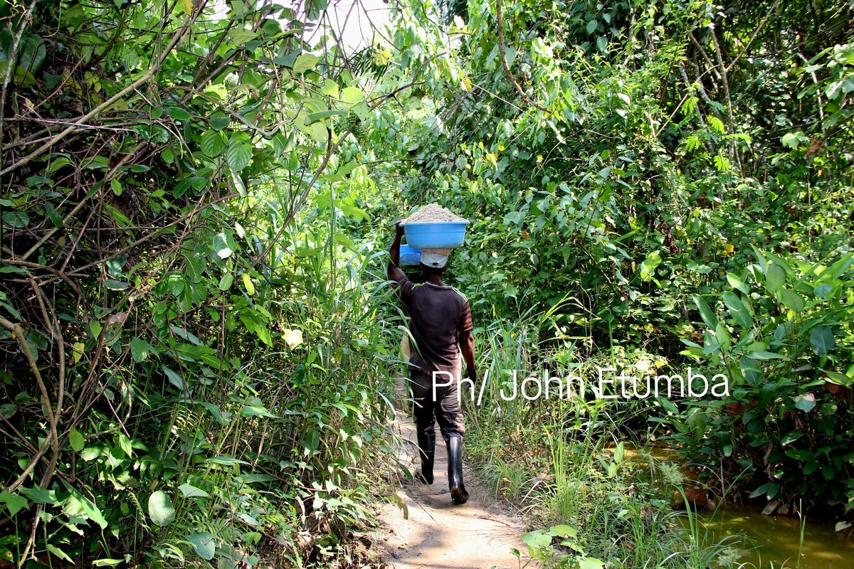Sand mining is very recurrent in the river and on the banks of #Zunguluka in the #Manjombo district of #Mandima ( Mambasa territory ), at least 6km Eastern of #Mambasa center in #Ituri province in the Eastern Democratic Republic of Congo ( DRC ). 

The several holes are observed
