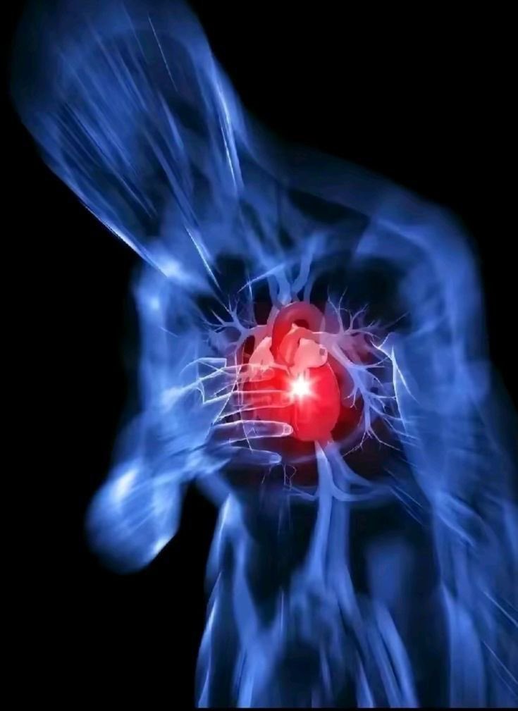 fffxw00's tweet image. devoir tej quelqu’un de ta vie alors que tu l’aimes encore wow