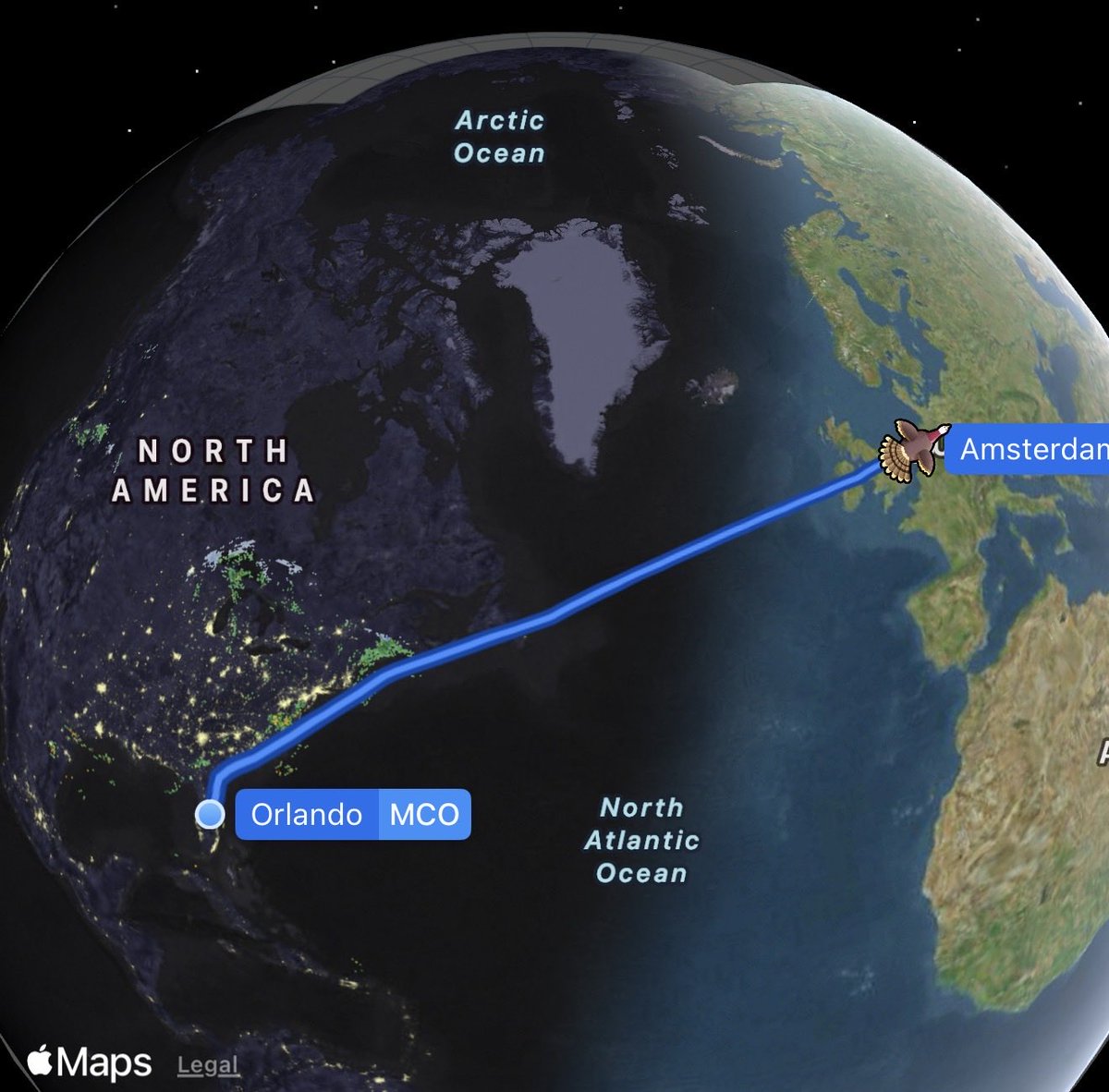 Chugging a Celsius before landing is a mood