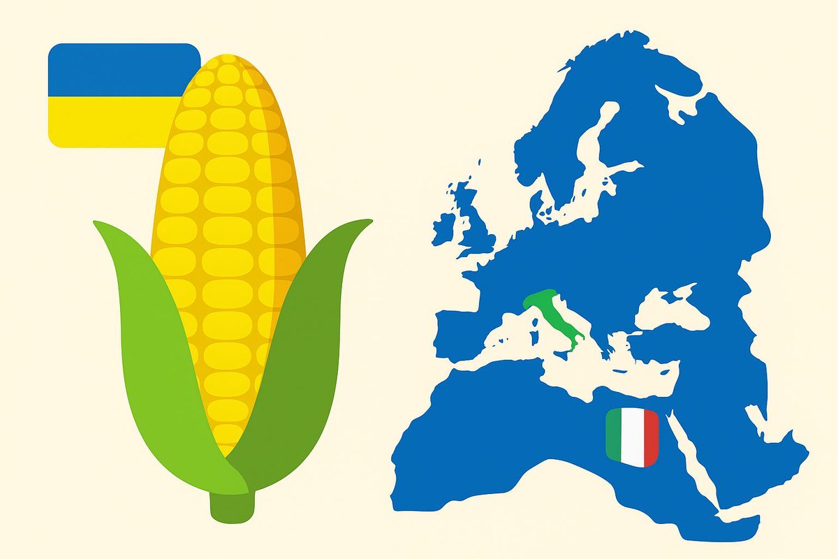 🇺🇦🌽 #Ukraine may export less than 5M tons of #corn by year-end — far below last season’s 7.6M. 
#Europe leads demand, with #Italy 🇮🇹 stepping up buys for Jan–Mar 🚆📦 Prices stay firm at $210 as spot #markets remain tight. 🌾📈 

#wheat #soybean #Italia #agri 🚜💹