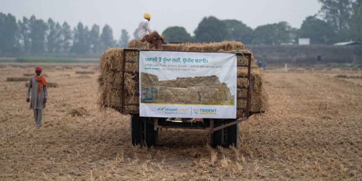TextileValue's tweet image. Trident Group strengthens climate action with Parali Samadhan, promoting clean farming and sustainable rural development. @TridentGroupGLB 

Read More: textilevaluechain.in/news-insights/…

#TridentGroup #ParaliSamadhan #Sustainability #ClimateAction