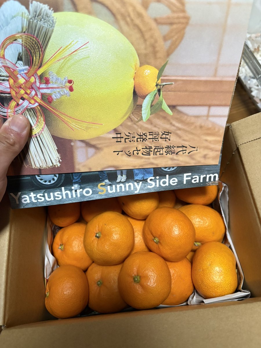 【宝石みかん】 八代サニーサイドファームから橙色に輝く宝石が届きました！ しかも
