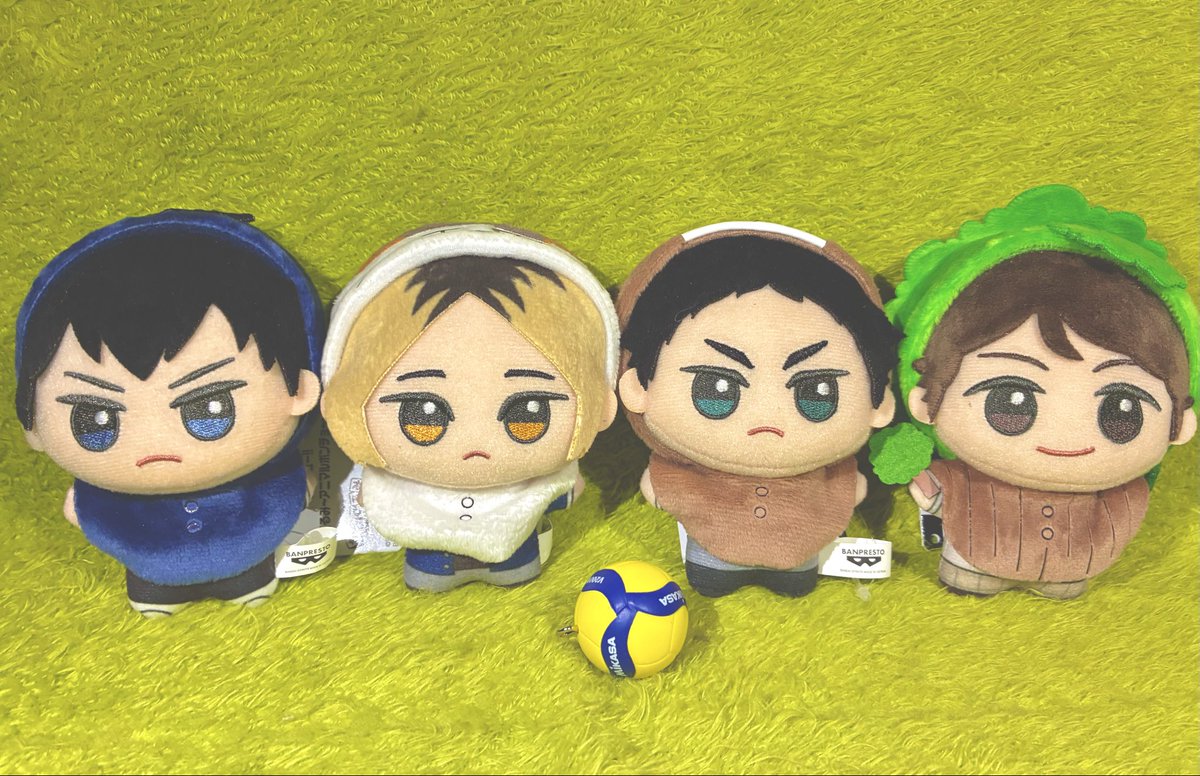 ビニール未開封✨ハイキュー!! ちびぐるみ アニマルポンチョ vol.1