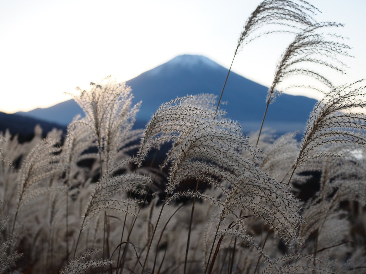 GriiixG's tweet photo. 今日の富士山 ふじやまじじい
#富士山 #Mount_Fuji https://t.co/hC3CFDyjAo