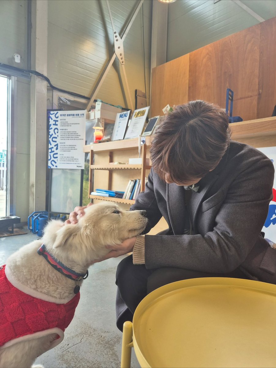 AmizaSherry's tweet photo. Even dogs are giving heart eyes to Kang Daniel. He's adorable.🥰🥰
#KANGDANIEL
#PETHROOM https://t.co/ETTxeVKjBO