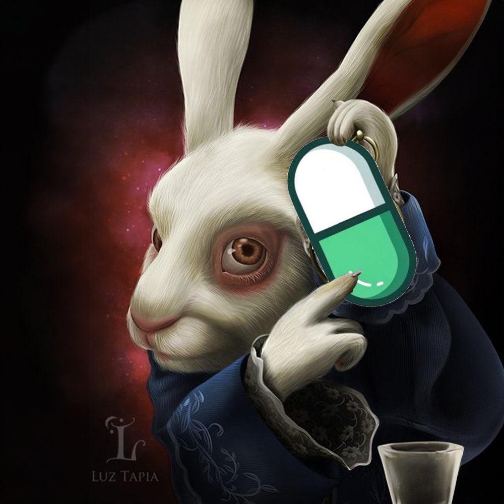 SpoiledBySpoily's tweet image. What Do we Think about a 24H Chart Like This?

(while fighting trough the current marketconditions)