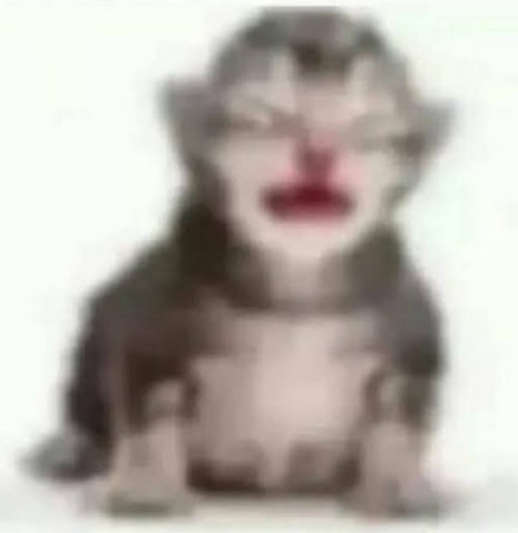 JuanP3020's tweet image. 4 dias para mi cumple ✨

Solo espero terminar mi proyecto de la uni antes para dejar de estar estresado estas semanas pwq