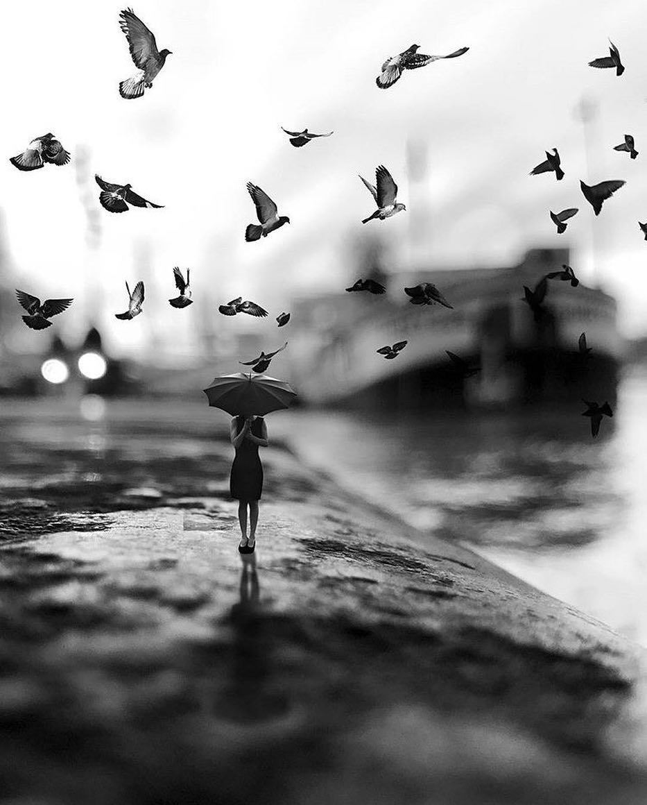 IoriTosa2's tweet image. .

&apos; A great wind is blowing &apos;

©️ Natacha Einat  ( skip_closer ) 

.