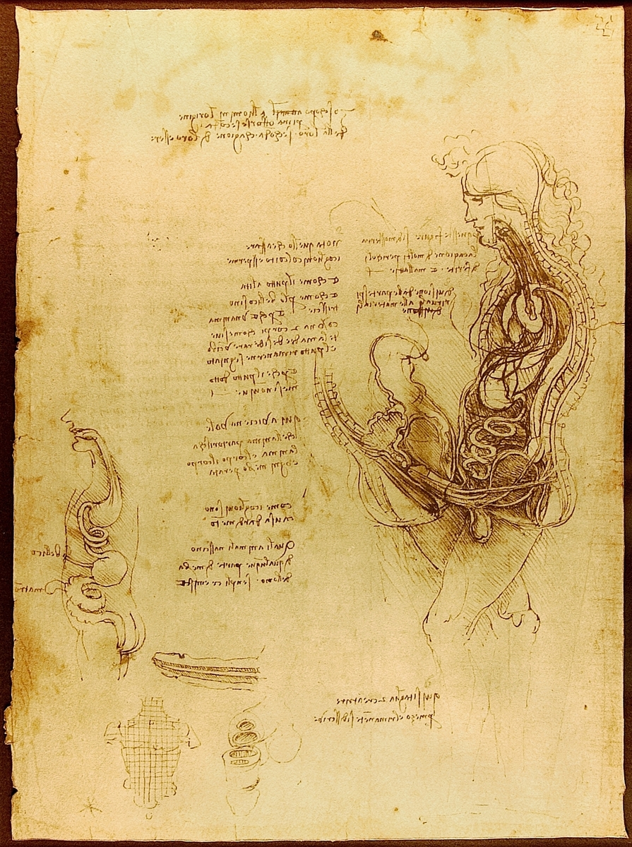 ArtistDaVinci's tweet image. Coition of a Hemisected Man and Woman #artbots #davinci