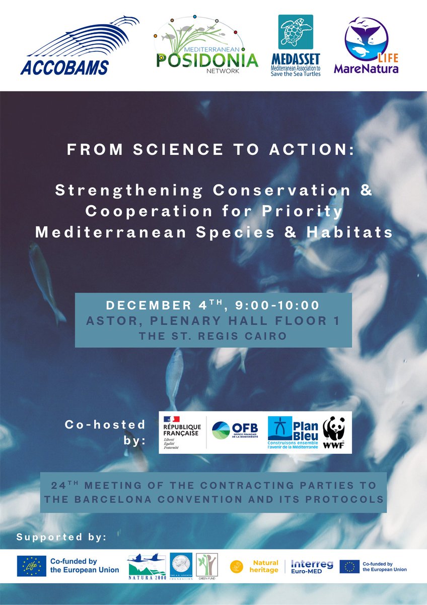 ACCOBAMS's tweet photo. Protecting Mediterranean biodiversity &amp; climate resilience! 
#COP24Med, joins us for our side event spotlighting key initiatives advancing marine science and cooperation: #ASI2, #LIFEMareNatura &amp; the #MediterraneanPosidoniaNetwork.
Together, progressing toward 30x30! https://t.co/3Clzym32wH