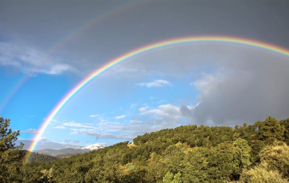 AngeLtongue's tweet image. Happy Wednesday! #X #WednesdayMotivation #WednesdayVibes #LoveAndLight #WorldLove #UniversalLove #Peace✨💎🕊️🌎🌍🌏💚🌈☀️🌹🎶🎁💎