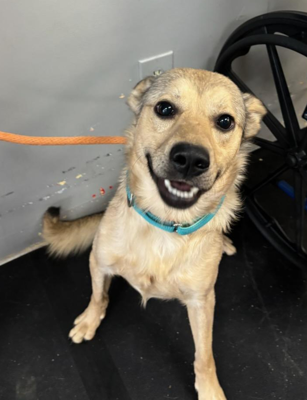 North Reading Police tweet media