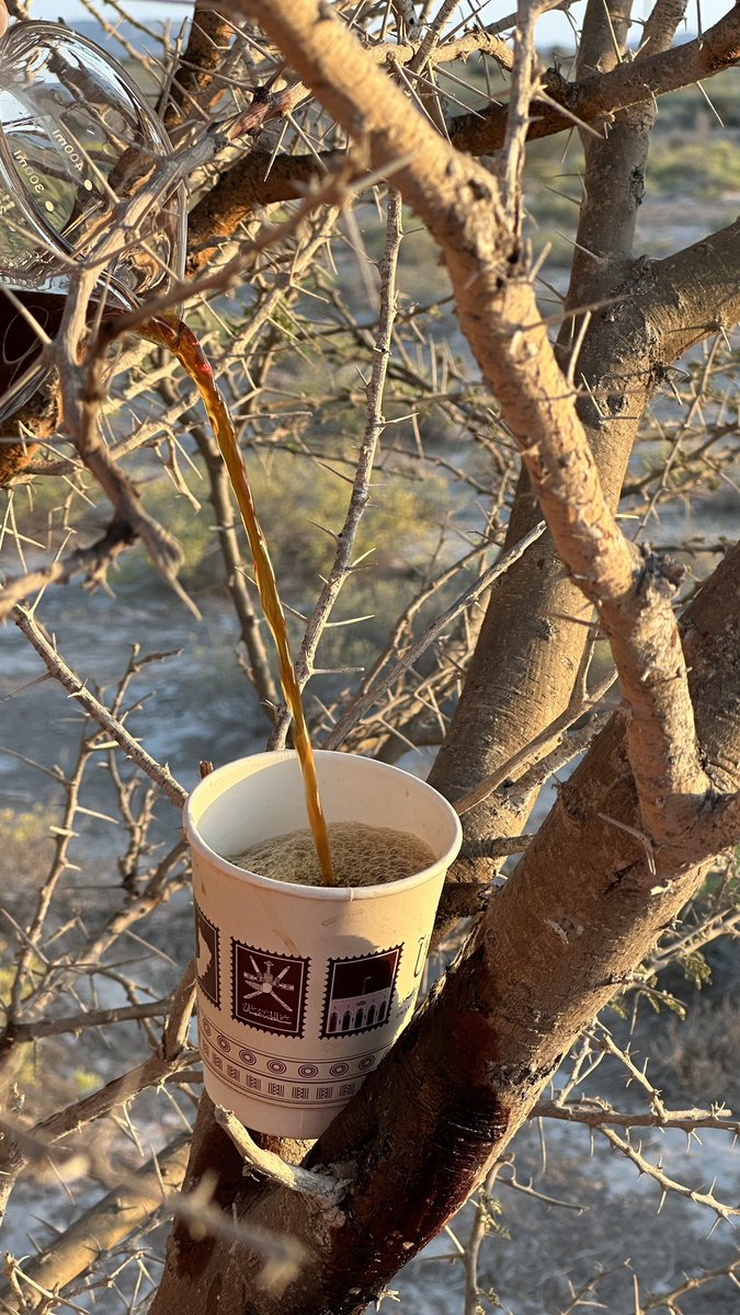 قهـوة الـوادي