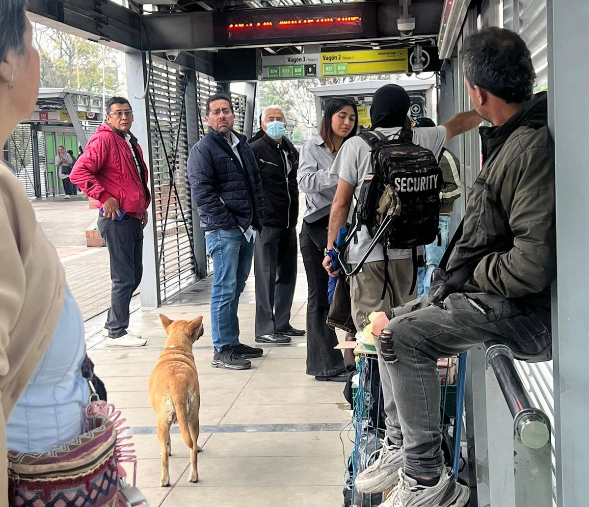 "En la estación de Héroes, Bogotá, hay un señor con una perrita embarazada. Está  pidiendo dinero “para alimentarla”, pero cuando uno intenta colaborar,  lo que pide realmente es comida para él  😠 

La perrita está bastante gordita y está próxima a dar a  luz
<a href="/PoliciaBogota/">Policía Metropolitana de Bogotá</a>

La