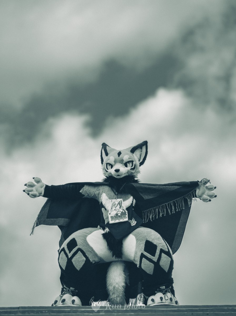 るん (Run)→JMoF (@run_charizard) / Posts / X