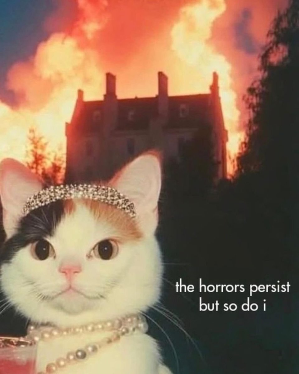 scribble_dao's tweet image. Scribble dropped 6 grants at once.

Scribblers&apos; lives fell apart immediately after.

Coincidence? Ammm nooo 👀