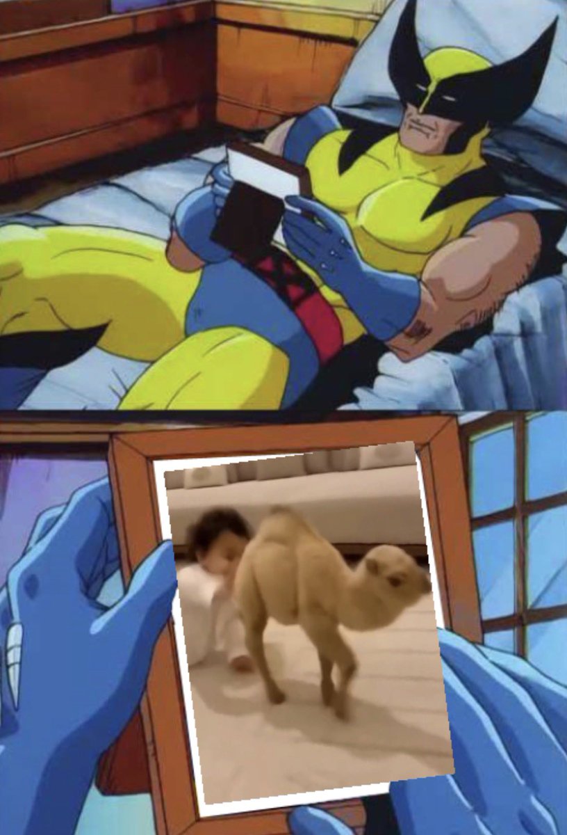 MaxLdr's tweet image. En pleurs depuis que j’ai appris que ce bébé chameau n’est pas réel (j’ai 89 ans)