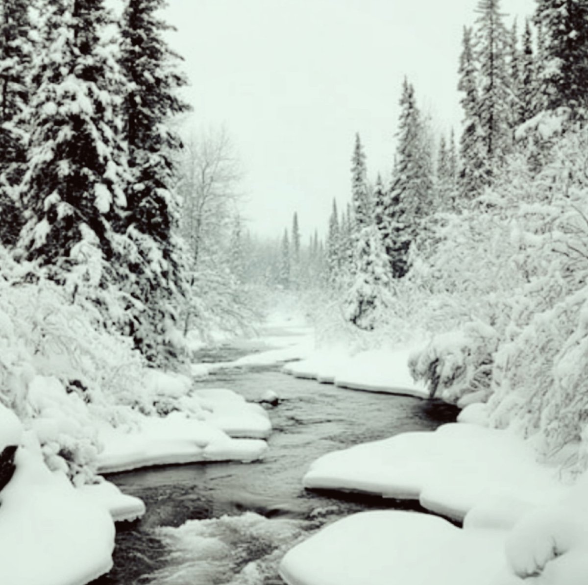 Melchior Springwater tweet media