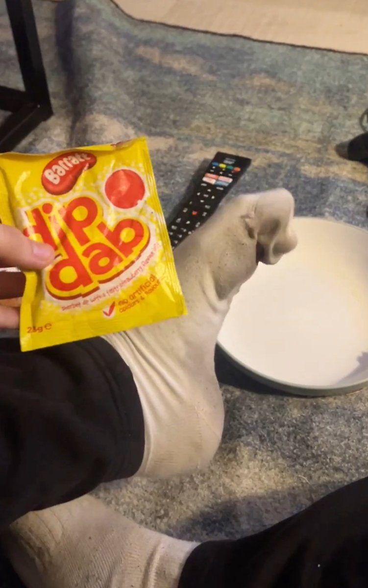 Giantess Astrid | Findom tweet media