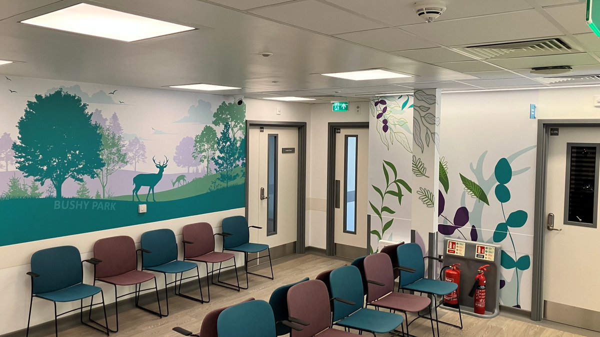 What’s next for The Friends? 

We’re planning to fund additional equipment for the Pain Clinic at The Woodland Suite and invest in community health partnerships. 

Stay tuned for details.

#FutureProjects #HospitalEnhancement #FriendsOfTMH