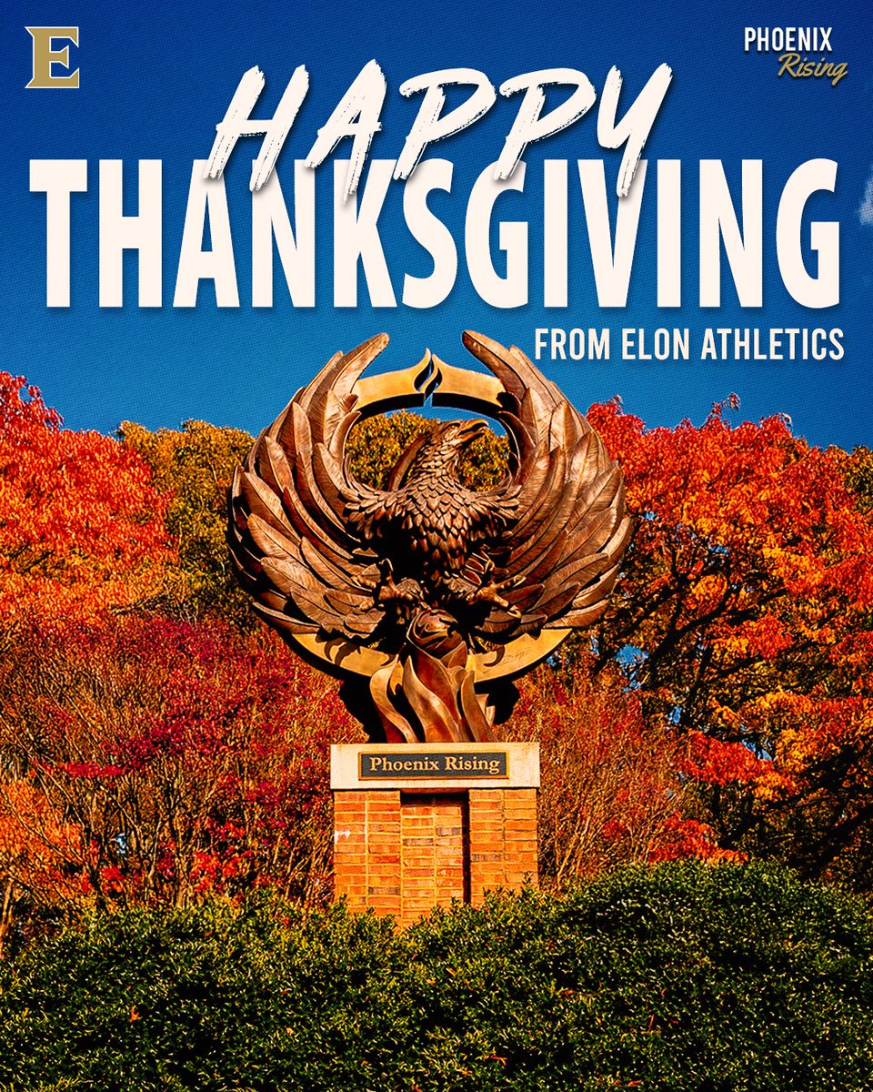 ElonPhoenix's tweet image. Happy Thanksgiving, Phoenix Family! 🐦‍🔥

#PhoenixRising