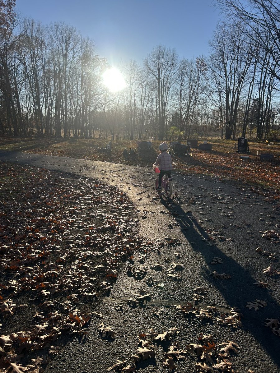 This album should be getting so much more attention. It’s a top 5 album of the year for me. Seriously hooked on it. Carter Faith, Cherry Valley. Great songwriting, great sound, playful and hilarious but sincere and deep where and when it needs to be. I have to be careful because