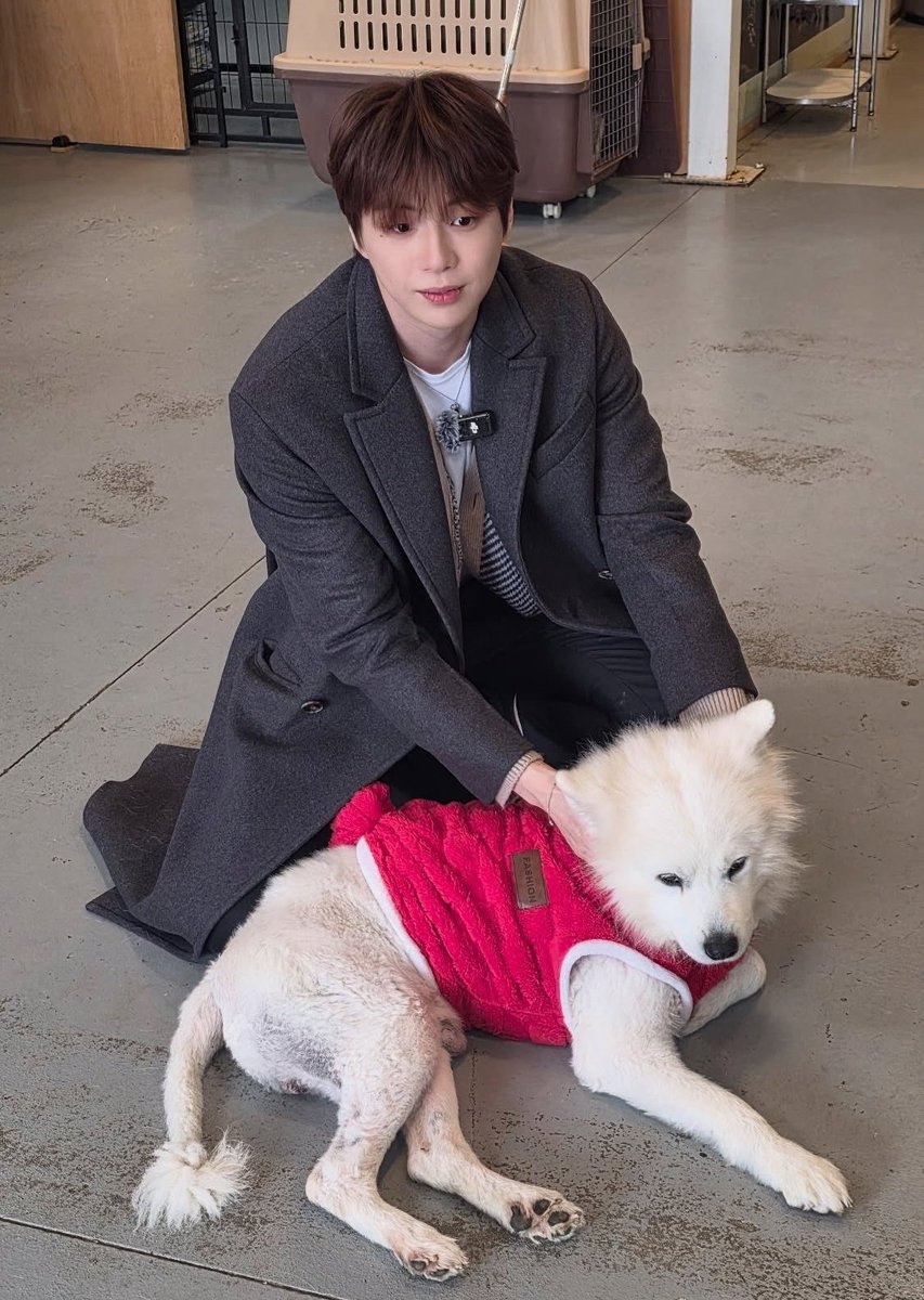 polaris__D's tweet image. 외면  그리고 체념.. ㅋㅋㅋㅋㅋ