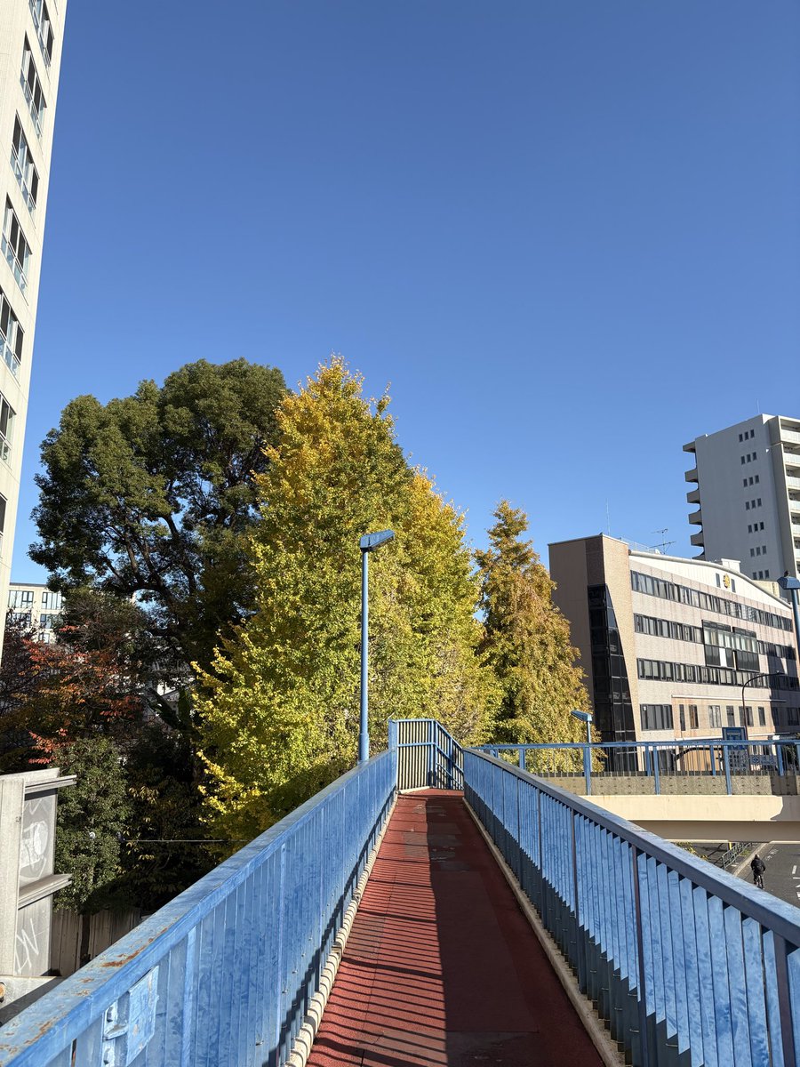 今日はちょっと嬉しいことがあっていえい！