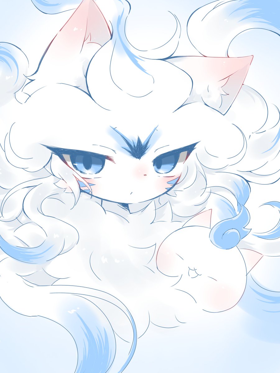 pomfret7160's tweet image. 白猫のピンクの鼻と耳がとても好きです