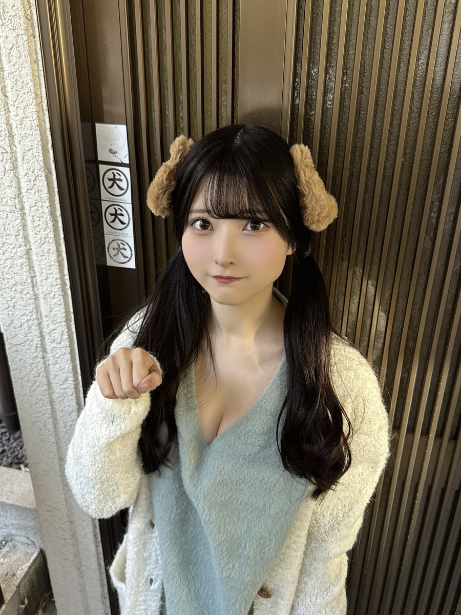 ruiruio_'s tweet image. 犬、すき？🐾