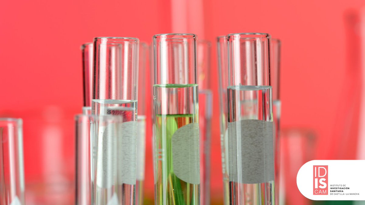 idiscam's tweet image. La investigación biomédica necesita colaboración 🤝🔬

En IDISCAM unimos talento y recursos de hospitales, universidades y centros sanitarios para transformar el conocimiento en innovación médica

Descubre más sobre nuestro trabajo en 👉 idiscam.es/idiscam/