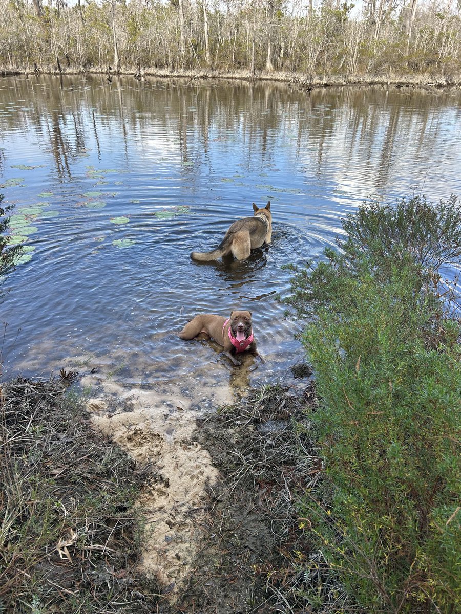 VA Headlines (@fintinez) on Twitter photo 